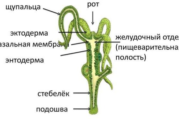 Мега даркнет не работает сегодня