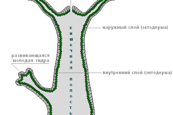 Mega ссылка для тор